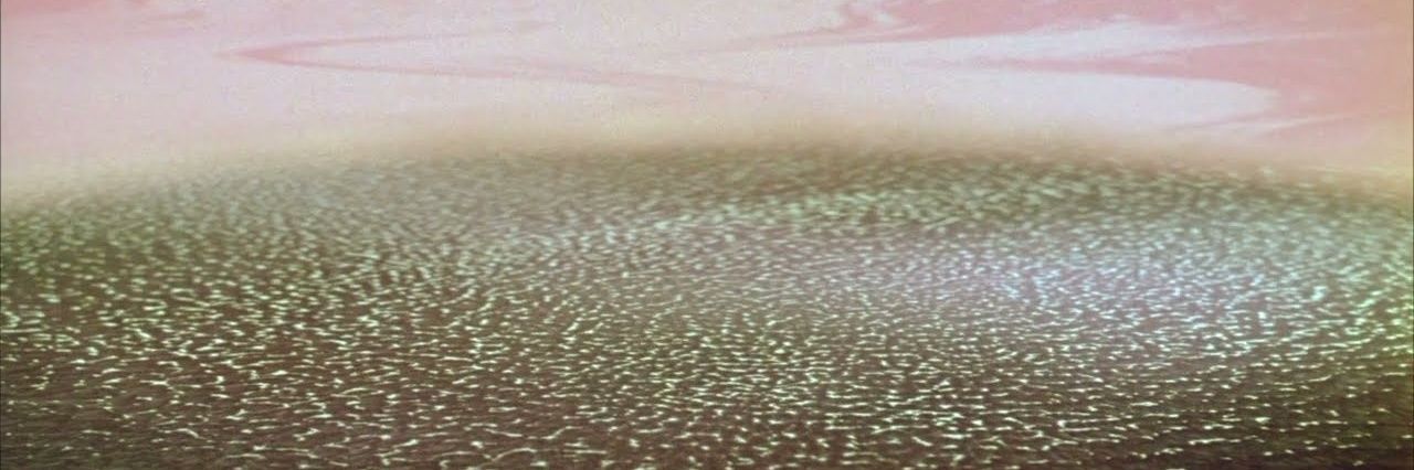 some ambient loser 🏳️‍⚧️🔻☭'s banner