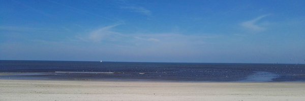 TeamHeSi Profile Banner