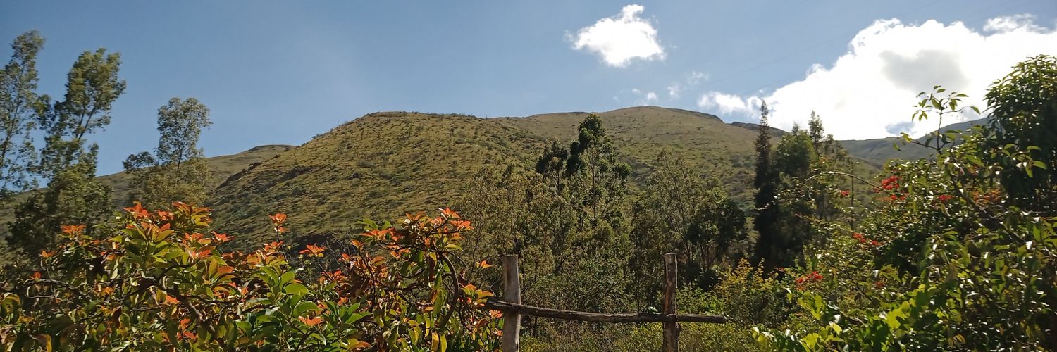 NetterMcMinnTor's profile banner image