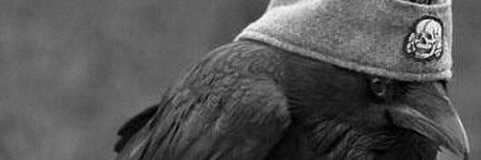KannElez's profile banner image