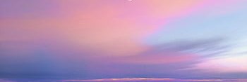 Silvia Lee banner