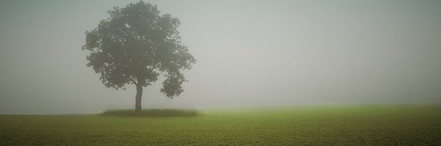 R. Santy banner
