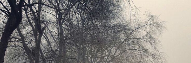 Amy. banner