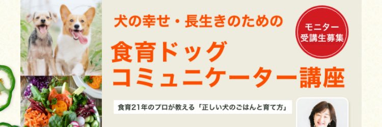 石原奈津子 banner