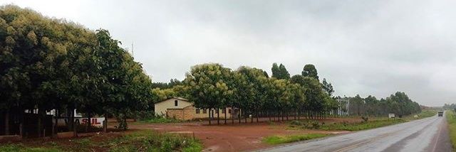 ViaSulAnapolis's profile banner image
