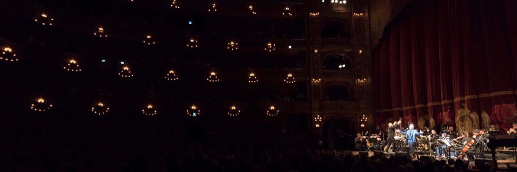 Tomas Mayer Wolf banner