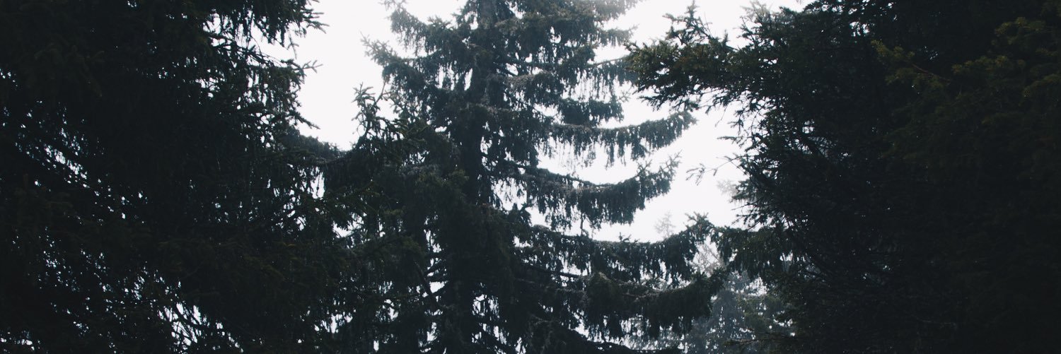 celinalbergmann's profile banner image