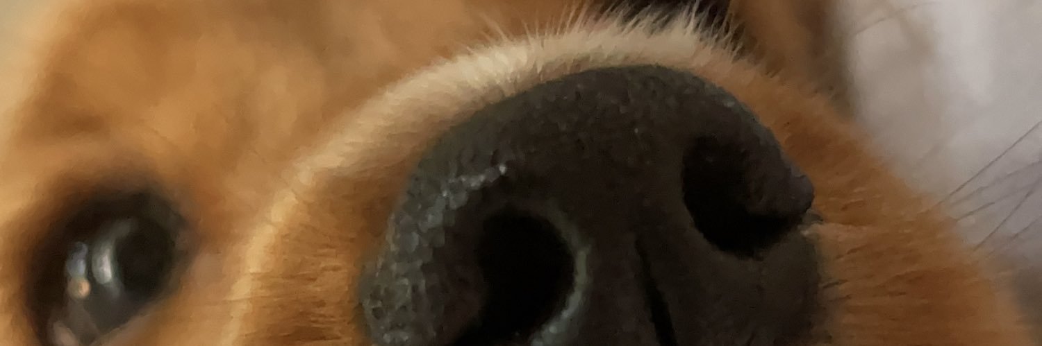 m. banner