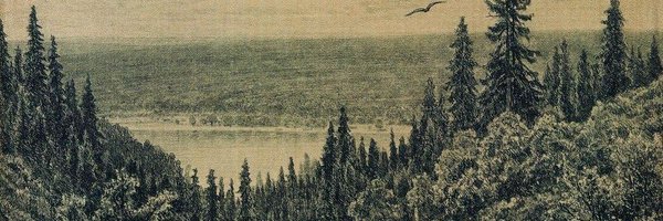 Frogmorton9 Profile Banner