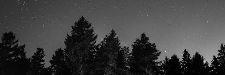 __Night__Wolf__'s profile banner image