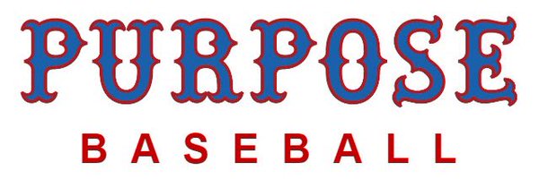 MPurposeBall Profile Banner