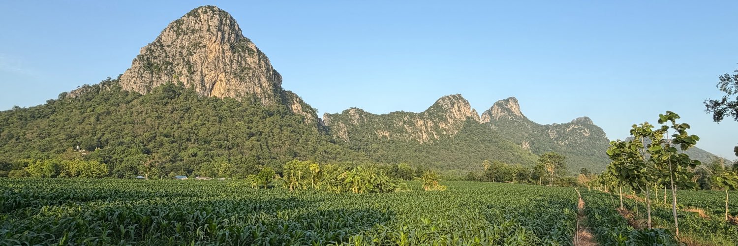mhoopor's profile banner image
