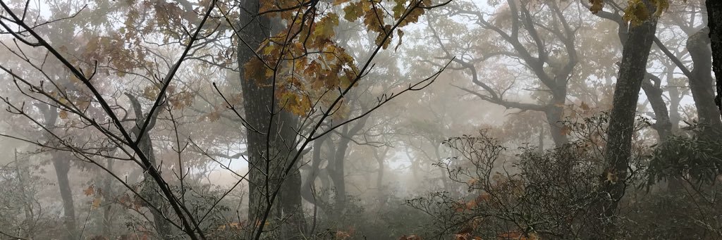 rmwilliamsC2C's profile banner image