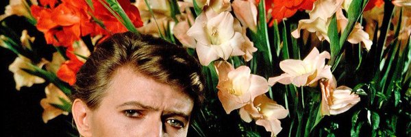 bittoro Profile Banner