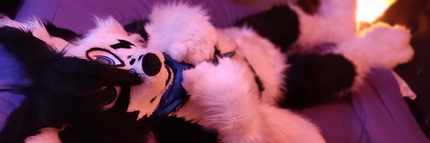 Pochi Collie 🖤🤍 banner