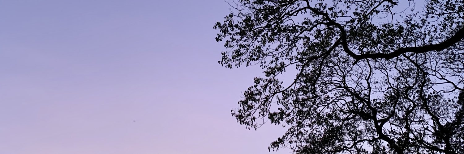 IRIStowtel's profile banner image