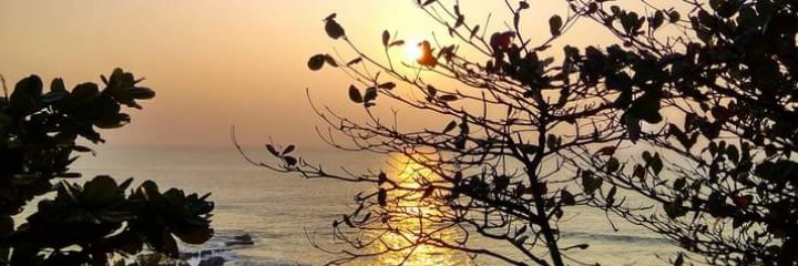 omniscient30's profile banner image