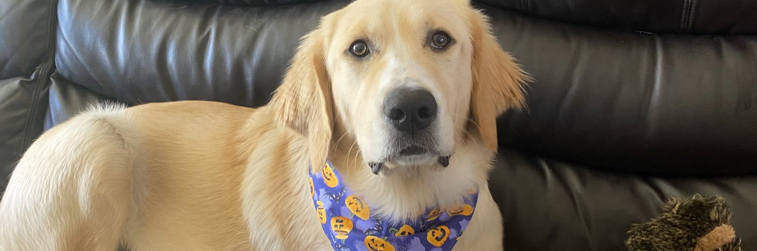 Berrty19's profile banner image