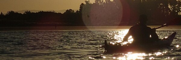 FishOfPrey Profile Banner