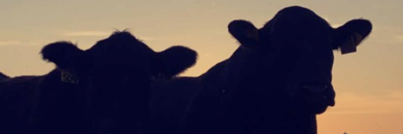bradyr_2's profile banner image
