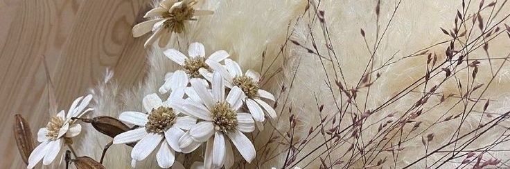 Gisha Hilton Bell banner