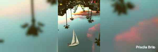 priscilabrto's profile banner image