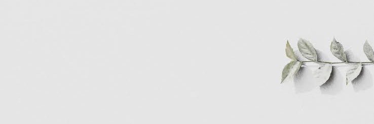 MelReis25's profile banner image