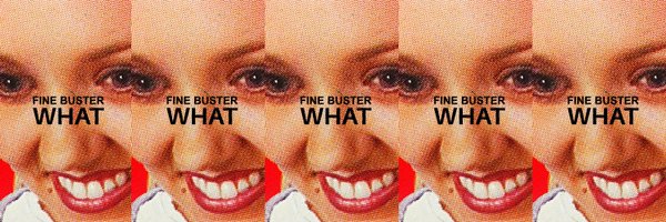 finebuster Profile Banner