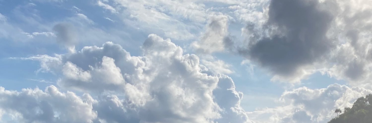 riskaxn's profile banner image