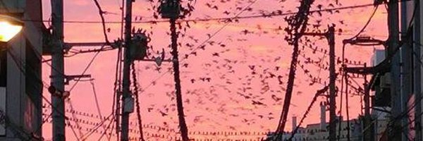 TsimasN Profile Banner