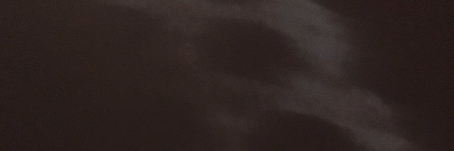 Bosko banner