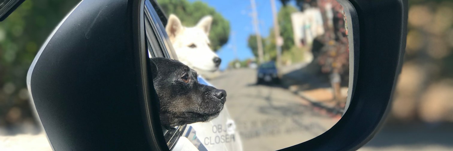 browwwnboy's profile banner image