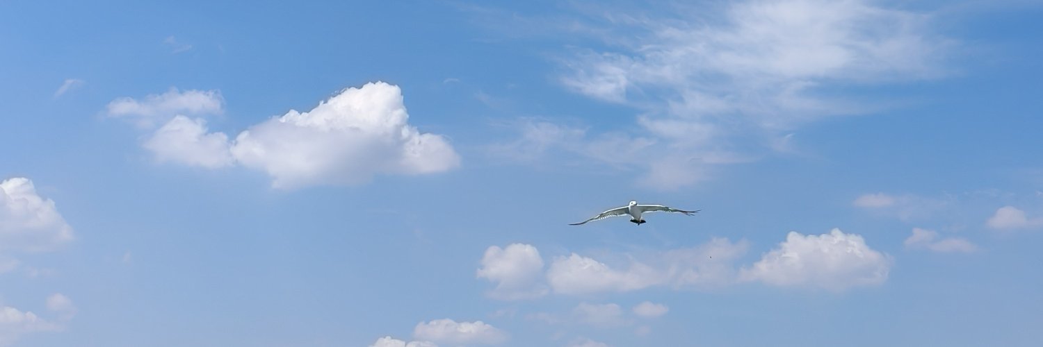 uuumm_iii's profile banner image