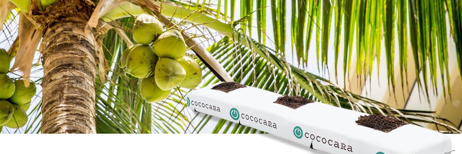 cococaRa2016's profile banner image