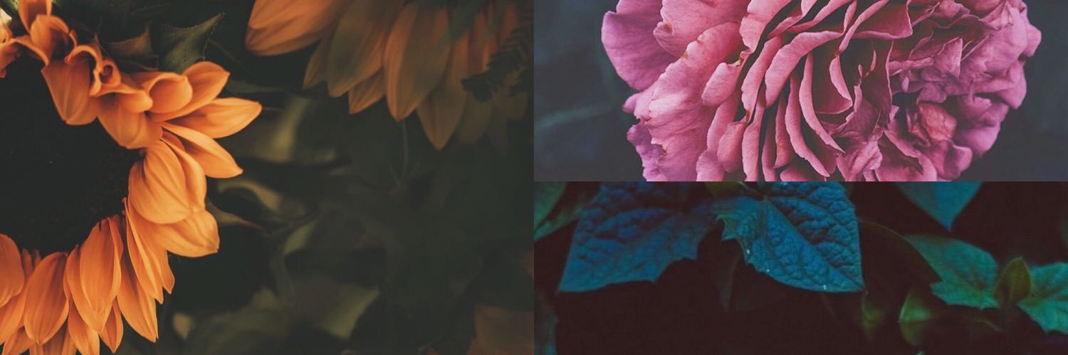 michelle_10893's profile banner image
