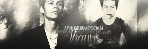 Elliot Parker banner