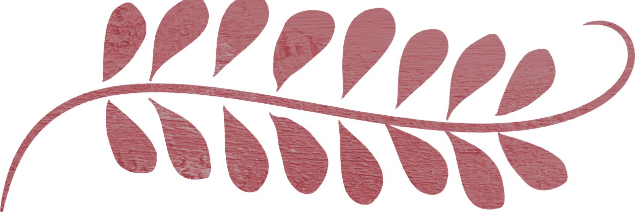 darkcattz's profile banner image