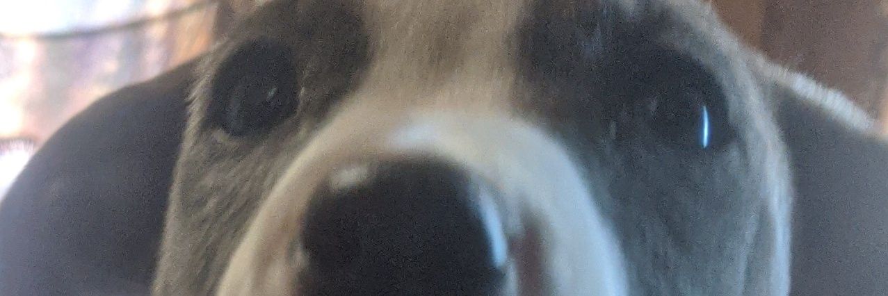 Deannadeuelchat's profile banner image
