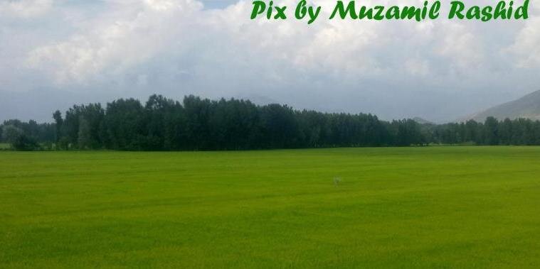 Muzamil22's profile banner image
