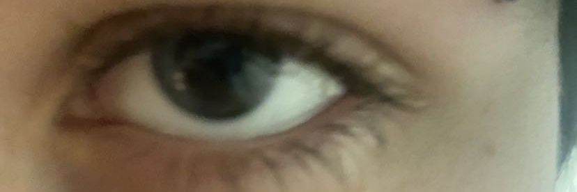 Satanicf4ggot's profile banner image