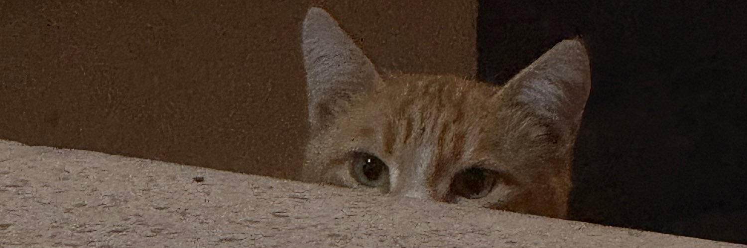 سنا🦩 banner