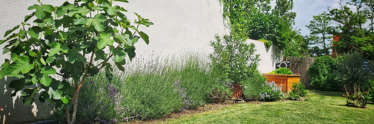 Gerald Fischer banner