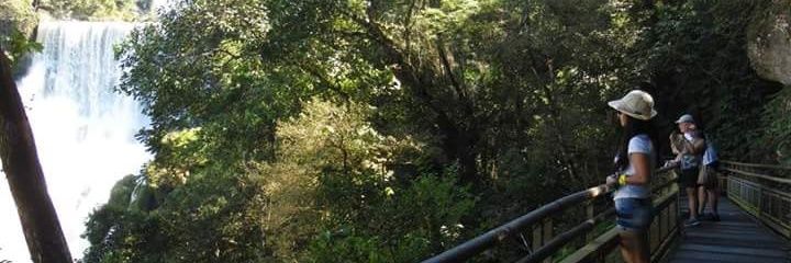 vickyborda's profile banner image