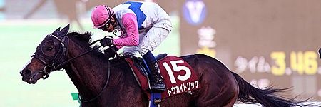 ms_07b_3's profile banner image