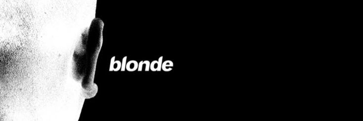 Dan banner