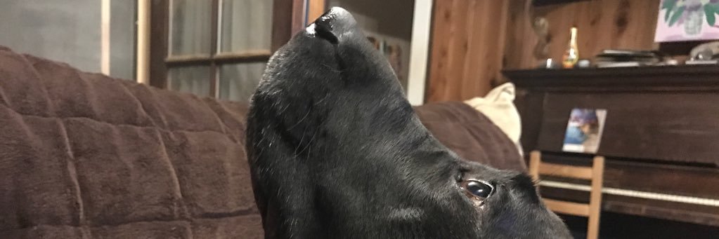 Malekelly's profile banner image