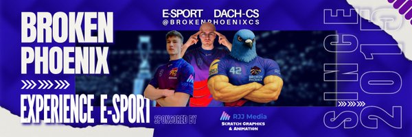 BrokenPhoenixCS Profile Banner