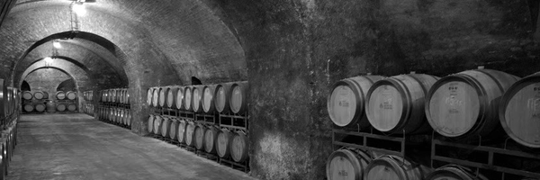 nattverden Profile Banner