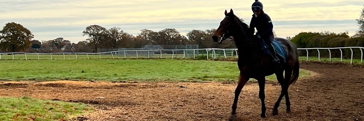 ronnieracingltd's profile banner image