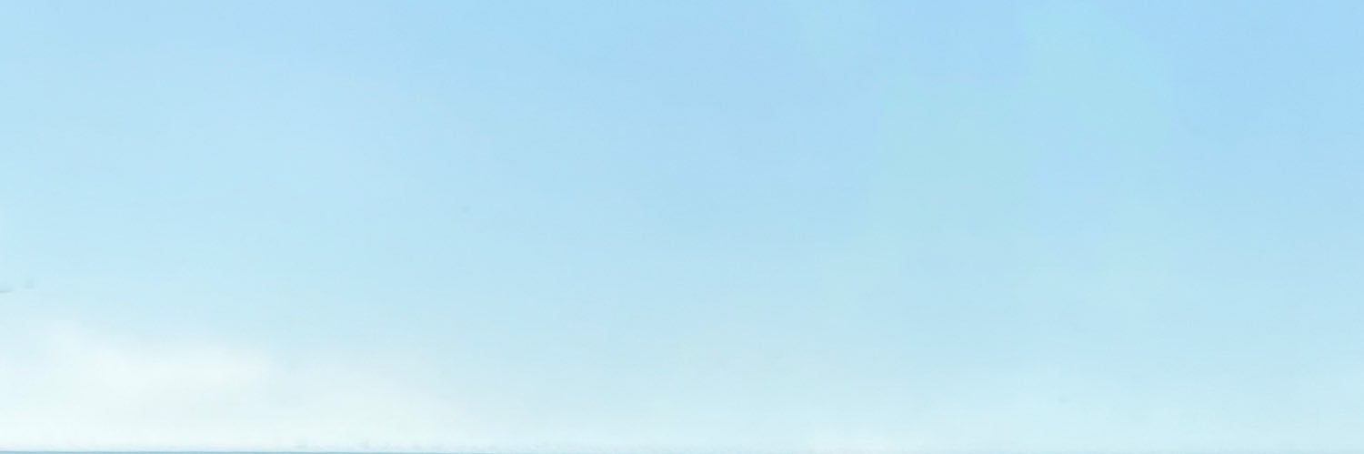 ❀ / CF22 M-19 banner